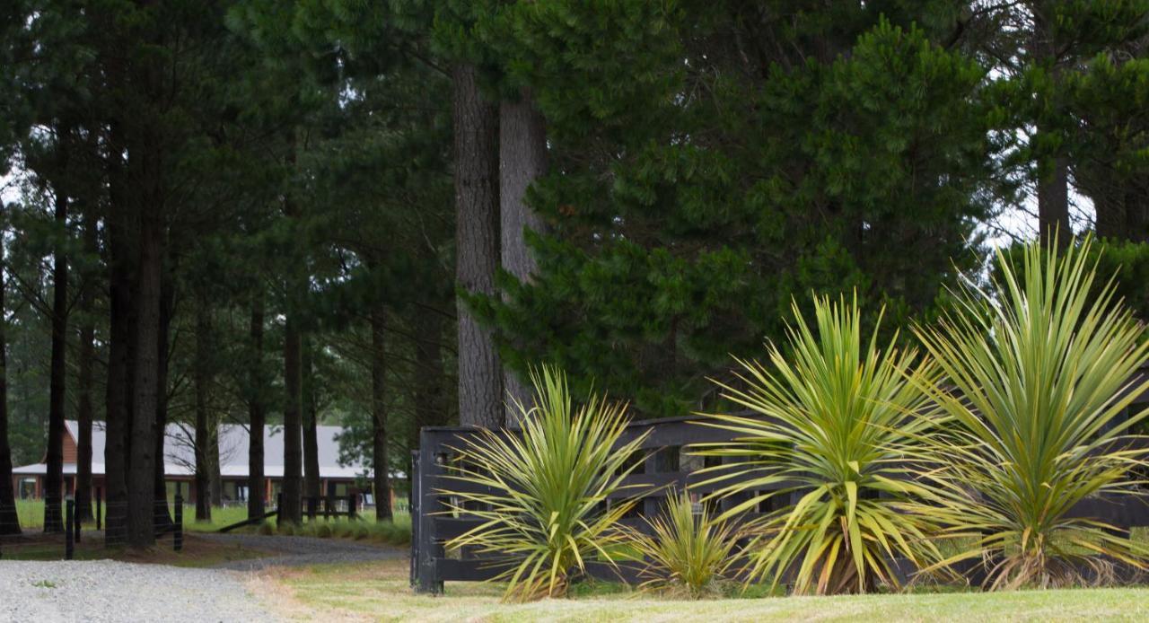Woodbank Park Cottages Ханмер Спрингс Екстериор снимка