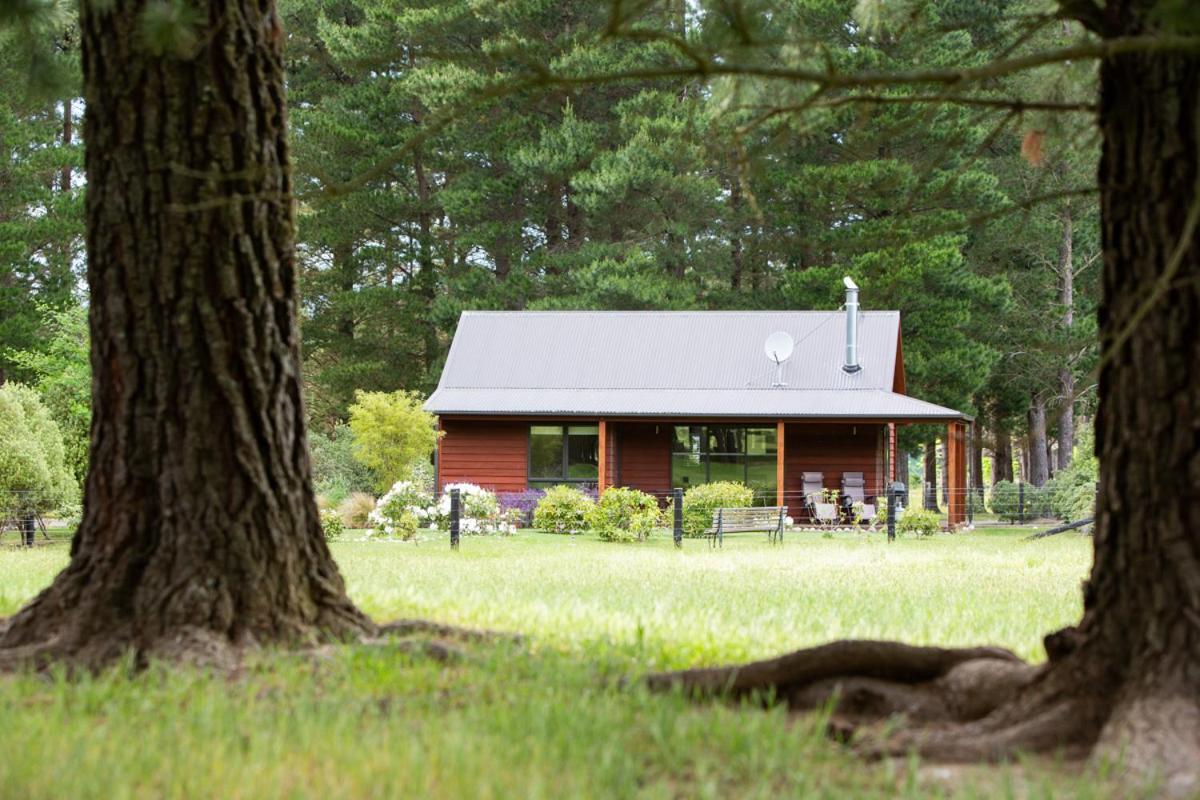 Woodbank Park Cottages Ханмер Спрингс Екстериор снимка